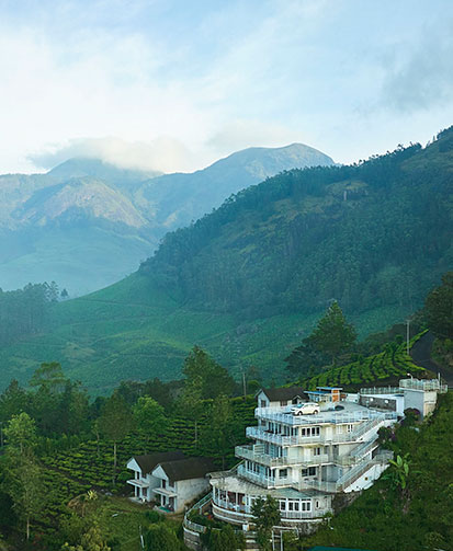 Nature View